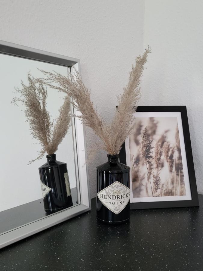 קובלנץ Schoene Und Ruhige Wohnung Direkt An Der Mosel מראה חיצוני תמונה